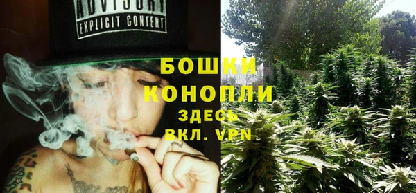 Альфа ПВП Белокуриха
