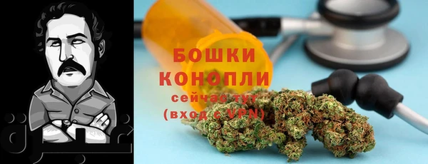 ALPHA PVP Беломорск