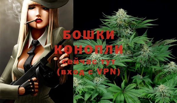 ALPHA PVP Беломорск