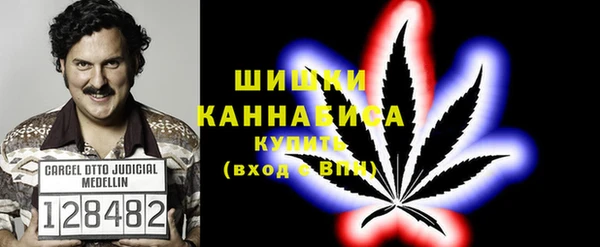 Альфа ПВП Белокуриха