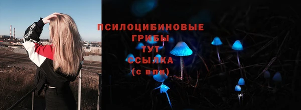 Альфа ПВП Белокуриха