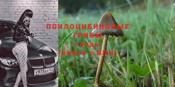 Альфа ПВП Белокуриха